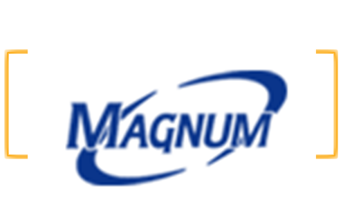 印度MS公司 印度MS公司